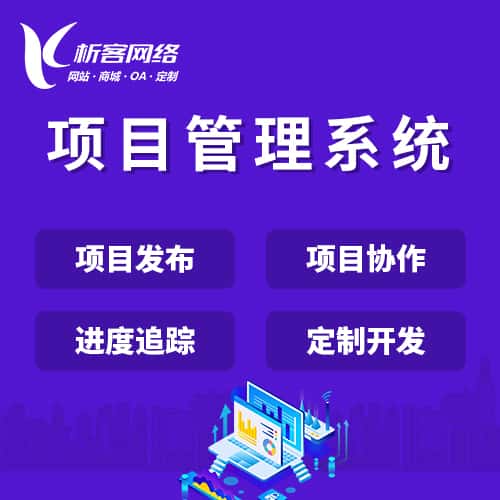 宜昌项目管理系统