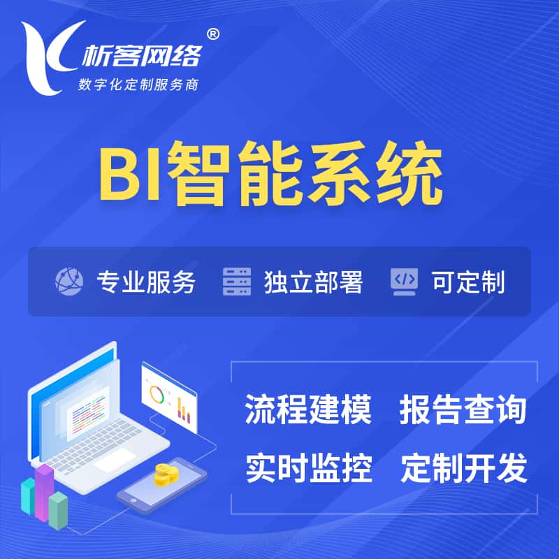 宜昌BI智能系统 | BI数据可视化